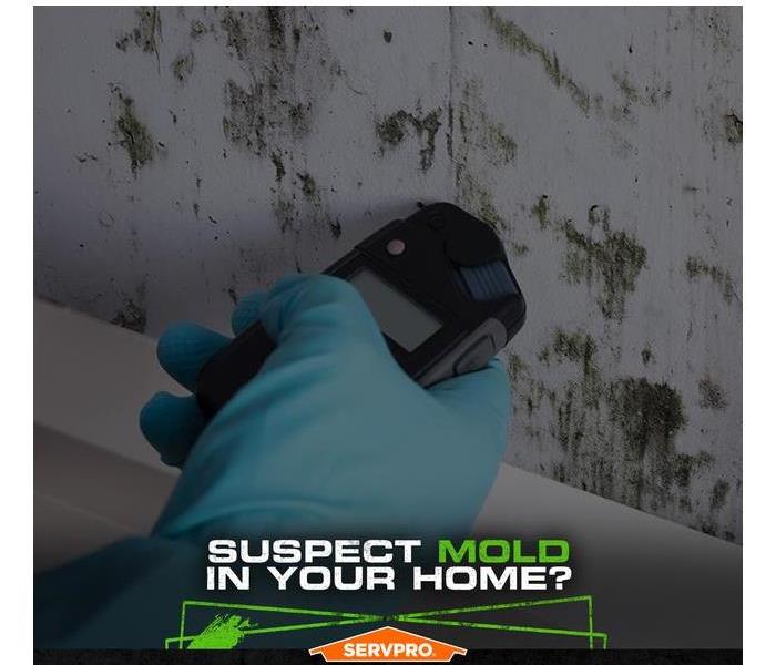 SERVPRO tech wearing a glove using a moisture meter on a mold infested wall with the caption: SUSPECT MOLD IN YOUR HOME?